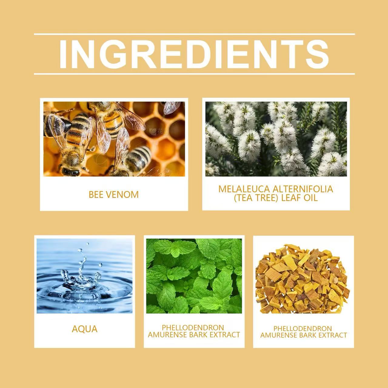 🐝 WiYunBee™ – Crème Réparatrice au Venin d’Abeille